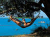 Vestar Camping 